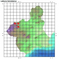 Distribución de Lathyrus pulcher en la Región de Murcia